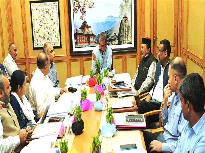 Explore possibility of setting up bamboo processing factory: CM